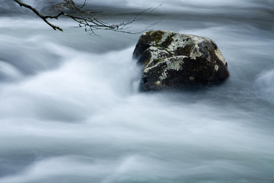 Rock and flowing stream with overhanging branch Photograph by Randall Nyhof