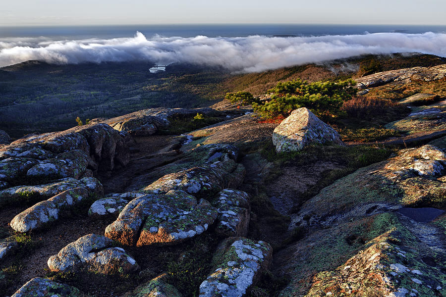Cadillac Mountain Photograph - Rock and Fog by Rick Berk