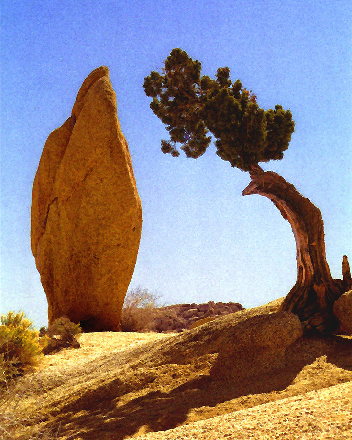 Rock and Tree Digital Art by Timothy Bulone