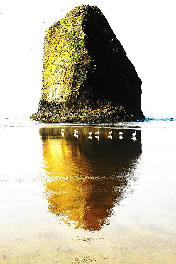 Rock at Silver Point Oregon Photograph by Steven A Bash
