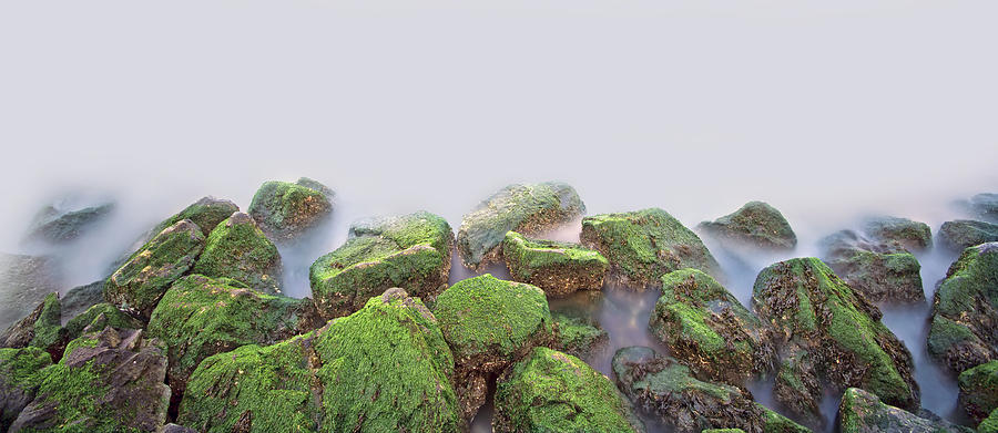 Nature Photograph - Rock Bottom by Evelina Kremsdorf