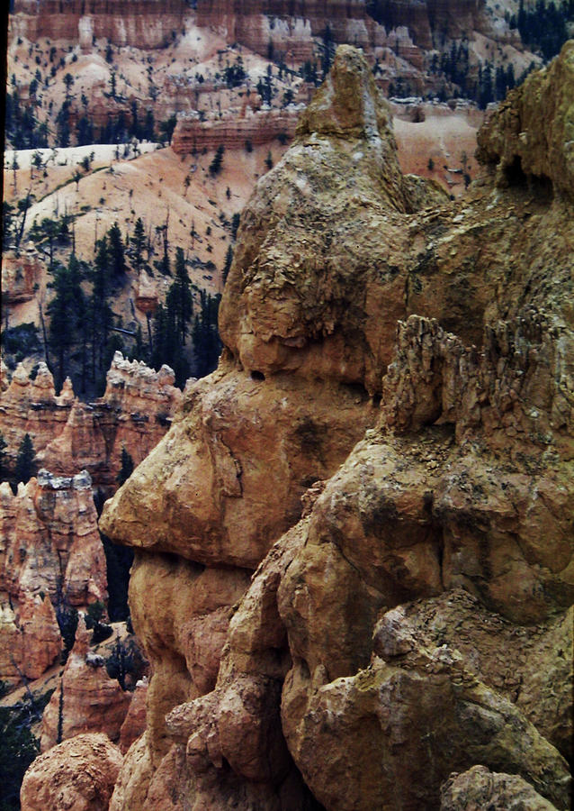 Rock Face Bryce Canyon Photograph by Thomas Woolworth
