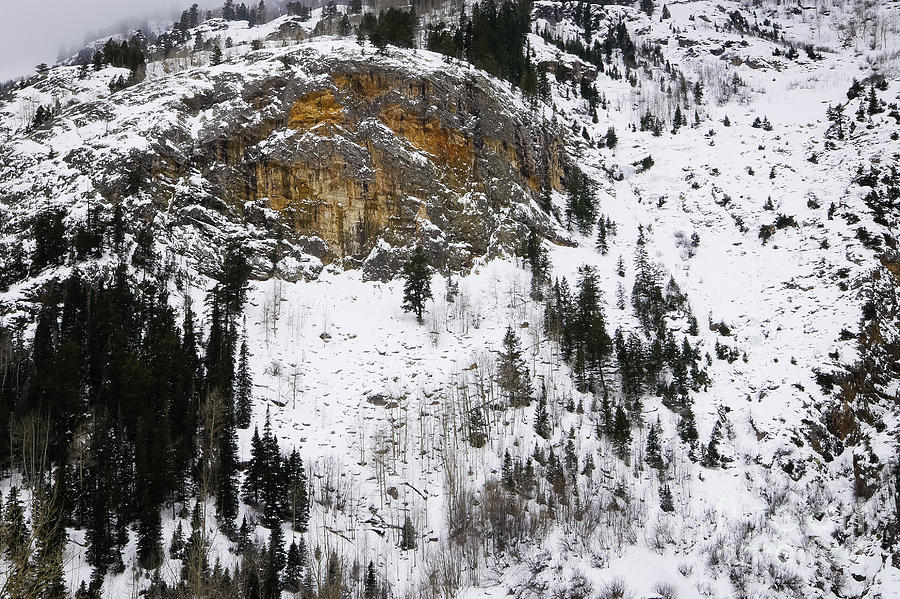 Rock Face in Snow Photograph by David Waldrop
