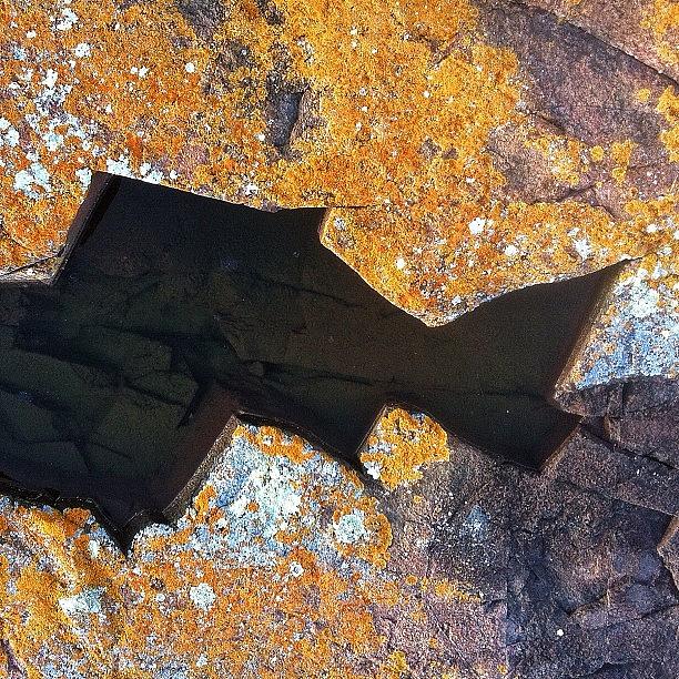 Nature Photograph - #rock #lichen #water #crack by Kate W