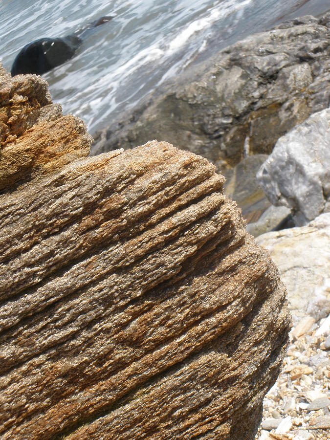 Beach Photograph - Rock Lines by Tracy Fusco