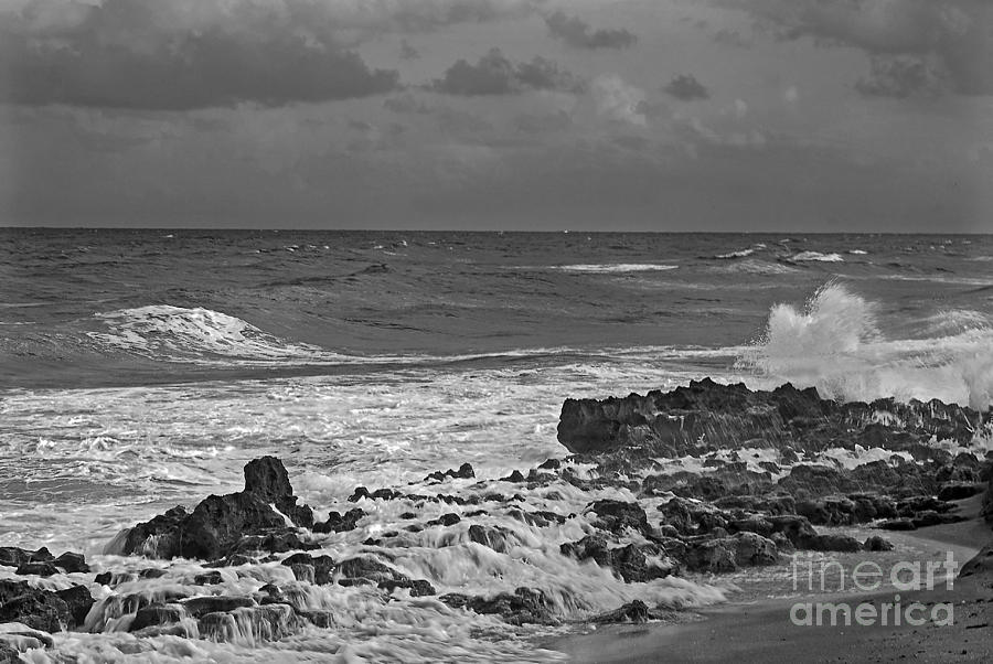 Rock Reef Photograph - Rock Reef by Richard Nickson Rock Reef Photograph - Rock Reef by Richard Nickson