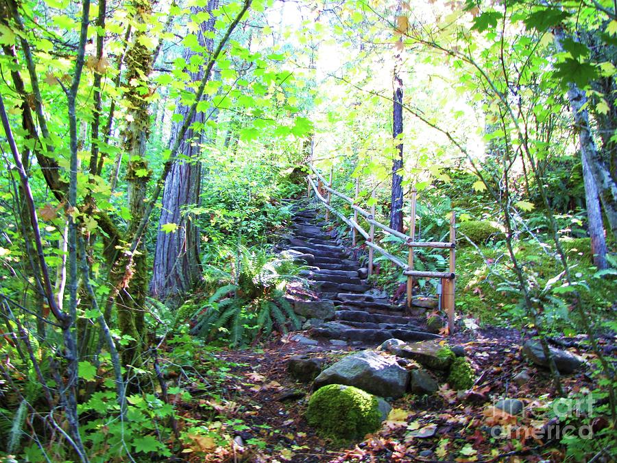 Rock Stair Trail Photograph by Michele Penner