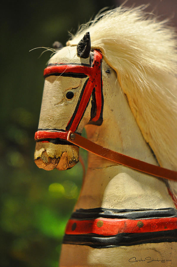 Horse Photograph - Rocking Horse by CM Stonebridge