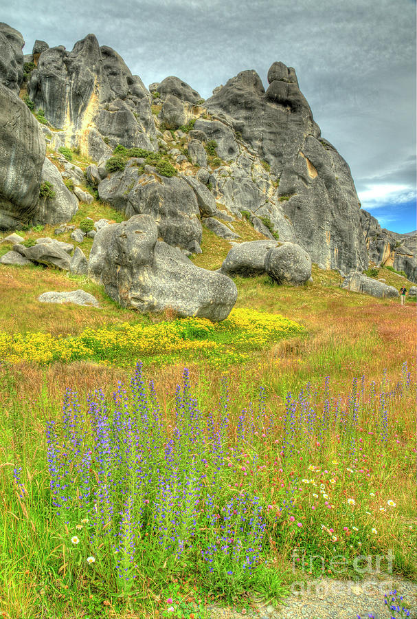 Rocks and Flowers Photograph by Marc Bittan