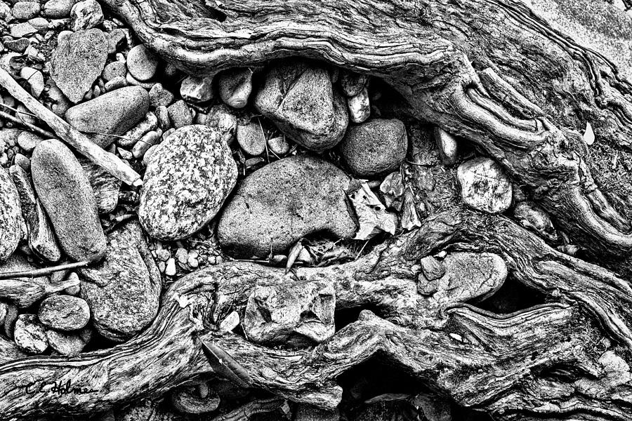 Rocks and Roots - BW Photograph by Christopher Holmes