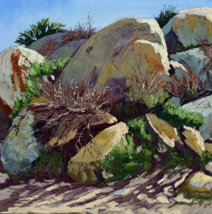 Rocks and weeds II Pastel by Patricia Rose Ford