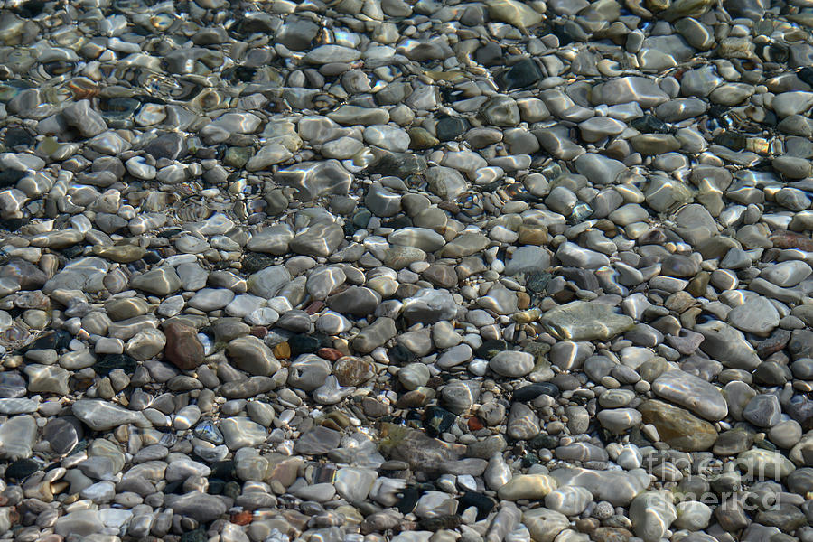 Rocks In Shallow Water Photograph by Ted Kinsman