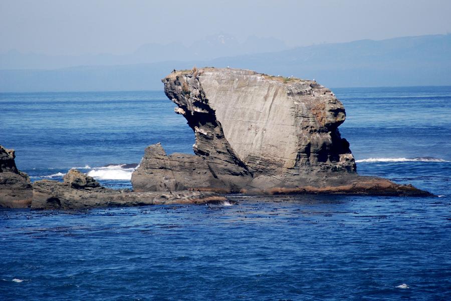 Rocks off Cape Flattery Photograph by Wanda Jesfield