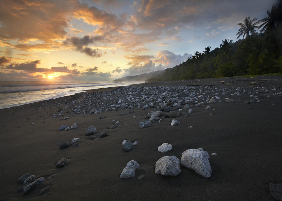 Rocks On Beach Corcovado National Park Photograph by Tim Fitzharris