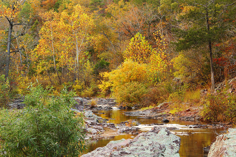 Landscape Photograph - Rocky Creek on Mill Mountain I by Greg Matchick