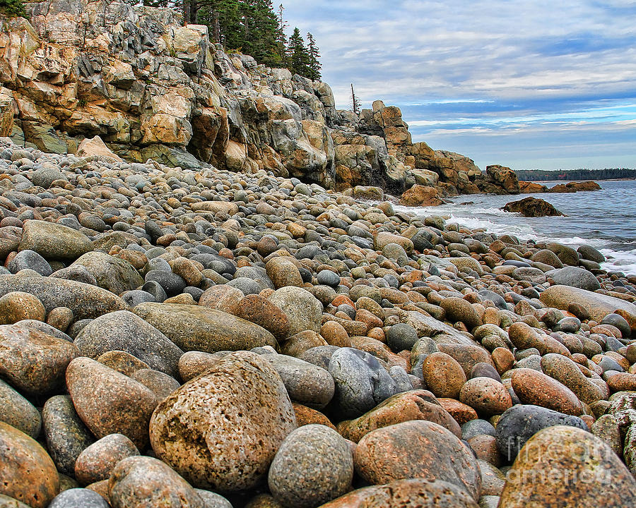 Rocky Maine Coastline Photograph by Jack Schultz