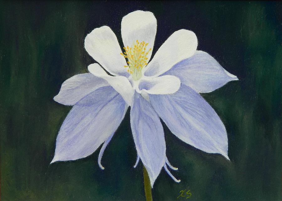 Still Life Painting - Rocky Mountain Columbine by Xenia Sease