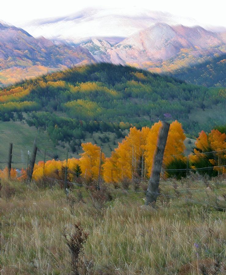 Rocky Mountain Fall Photograph by Ellen Heaverlo