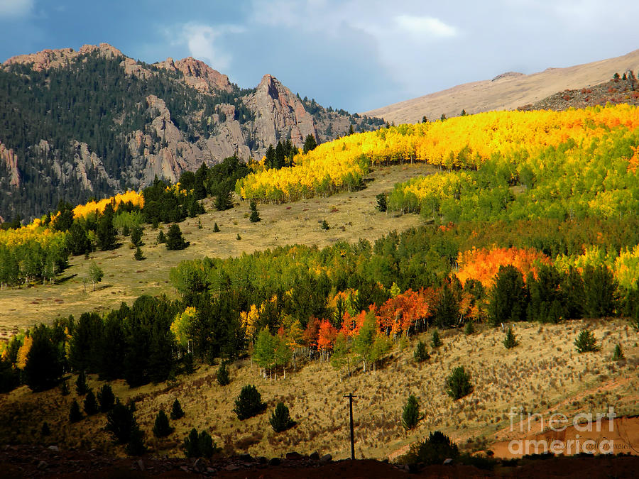 Rocky Mountain Fall Photograph by Michelle Frizzell-Thompson
