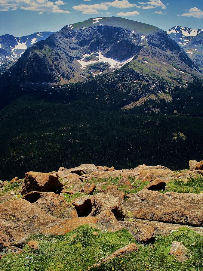 Rocky Mountain Meadow Photograph by Benjamin Yeager