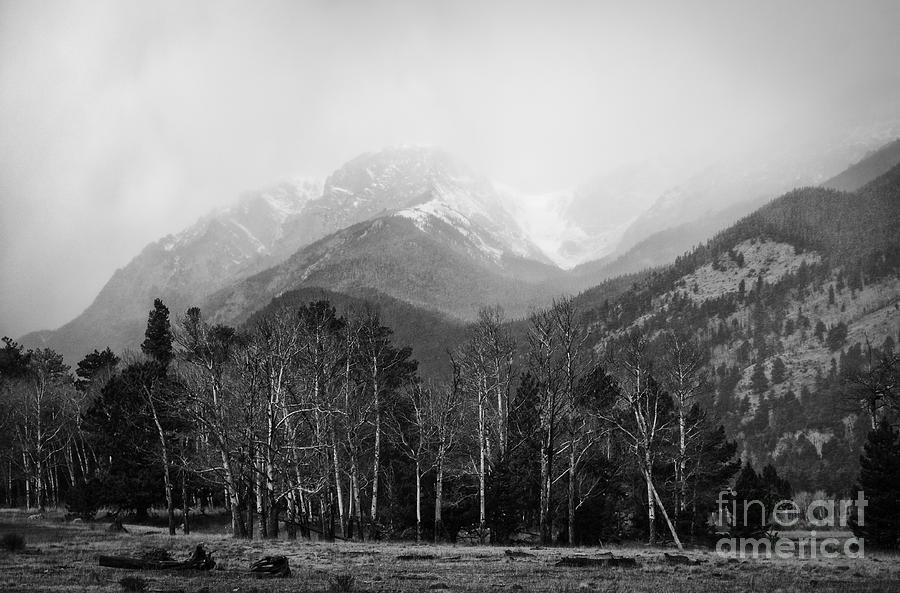 Rocky Mountain National Park Photograph by David Waldrop