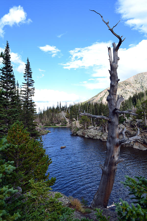 Rocky Mountain National Park1 Photograph by Zawhaus Photography