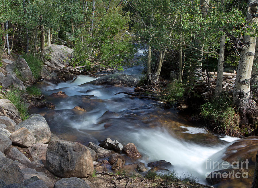 Rocky Mountain Stream Photograph by Robert Pilkington