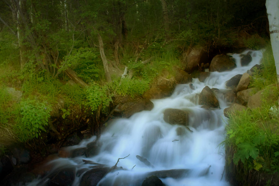 Rocky Mountain Waterfall Photograph by Ellen Heaverlo