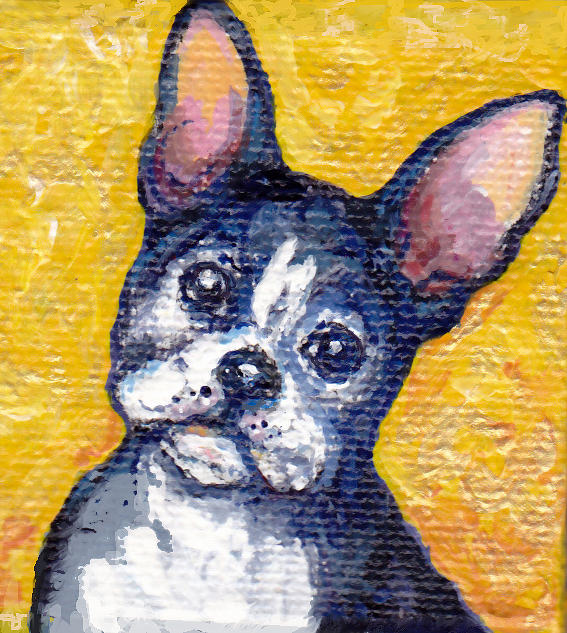 Dog Painting - Rocky by Peggy Wilson