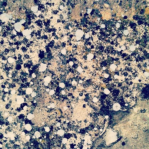 Rock Photograph - Rocky Road by Nic Squirrell