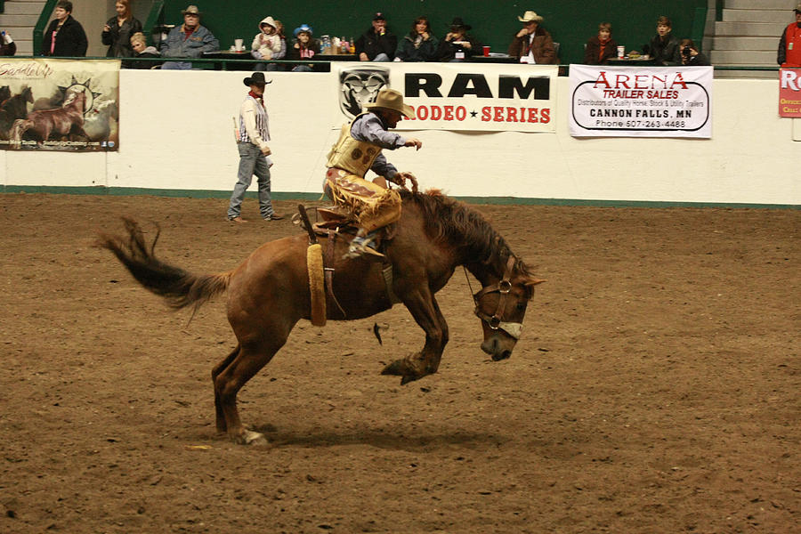 Horse Photograph - Rodeo by George Ramondo