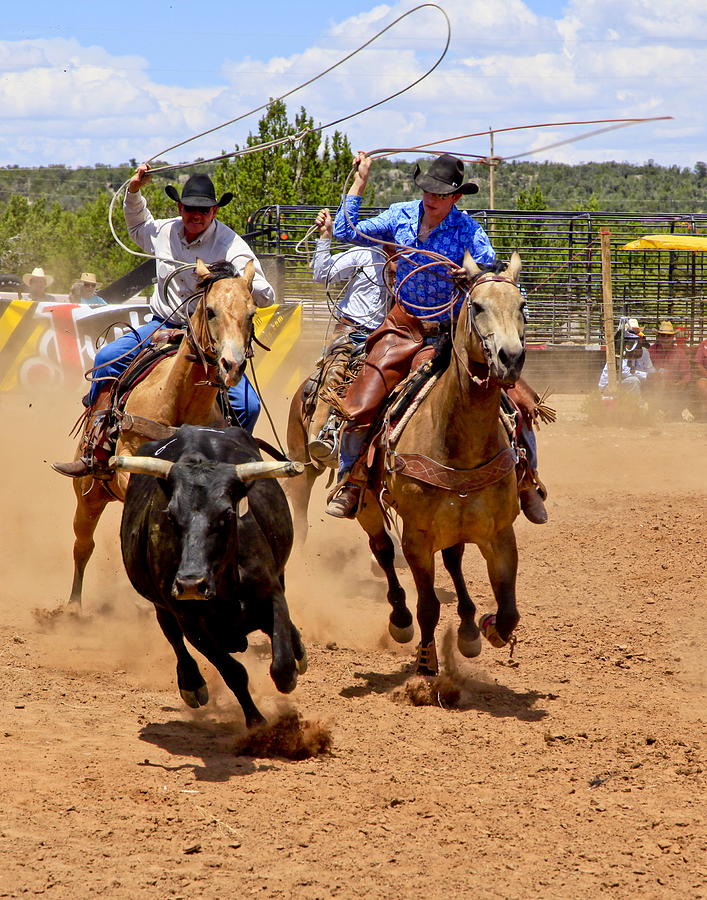 Rodeo Roping Photograph by Bob Ayre