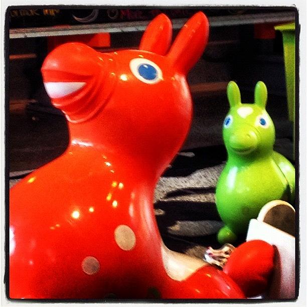 Toy Photograph - Rody and Friend by Jaye Howard