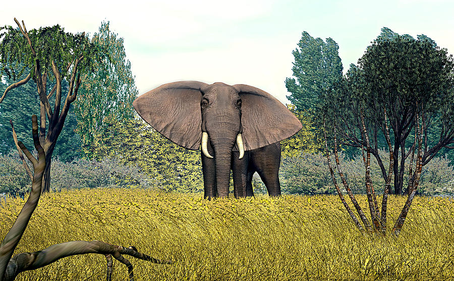 Rogue Elephant Digital Art by Walter Colvin