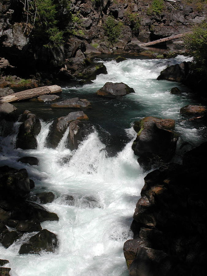 Rogue River rapids Photograph by William McCoy