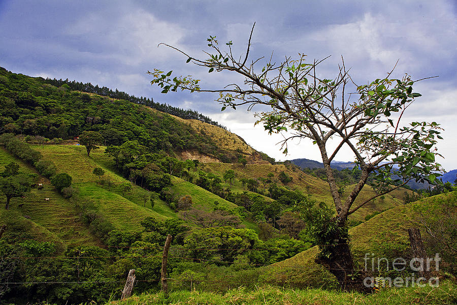 Rolling Hills - Costa Rica Farmland Photograph by Madeline Ellis