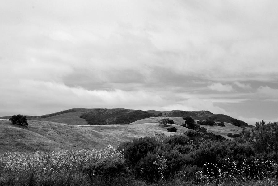 Rolling Hills view I - BW Photograph by Kathleen Grace