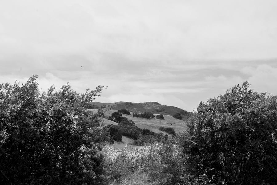 Rolling Hills View II - BW Photograph by Kathleen Grace