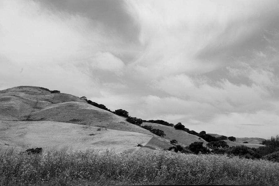 Rolling Hills View III - BW Photograph by Kathleen Grace