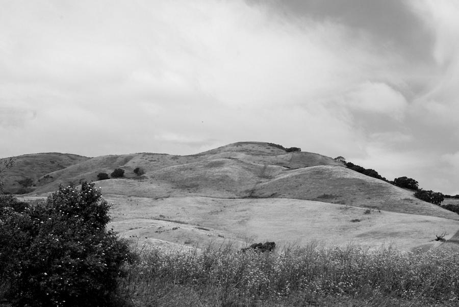 Rolling Hills View IV - BW Photograph by Kathleen Grace
