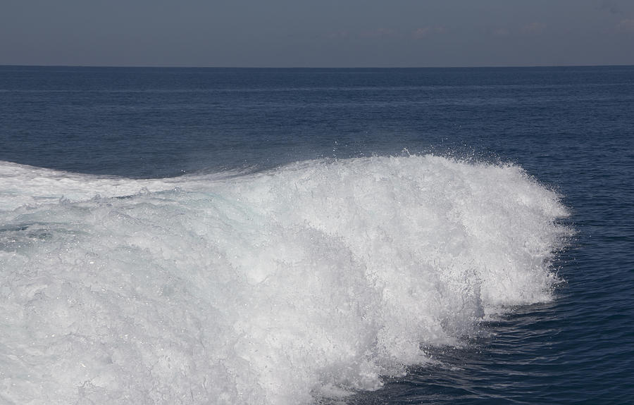 Rolling Wave Photograph by Douglas Barnard - Fine Art America