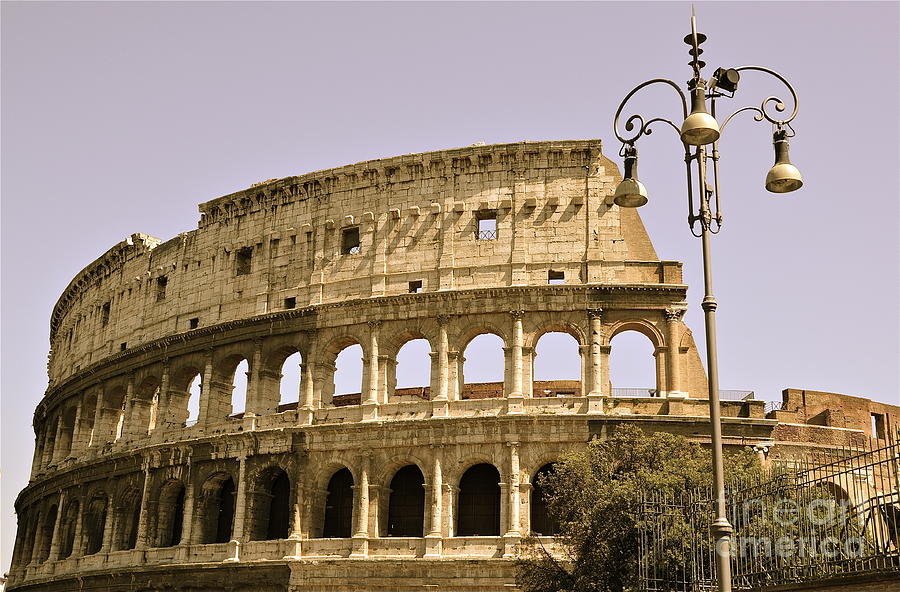 Roman Colosseum  Photograph by Amy Fearn