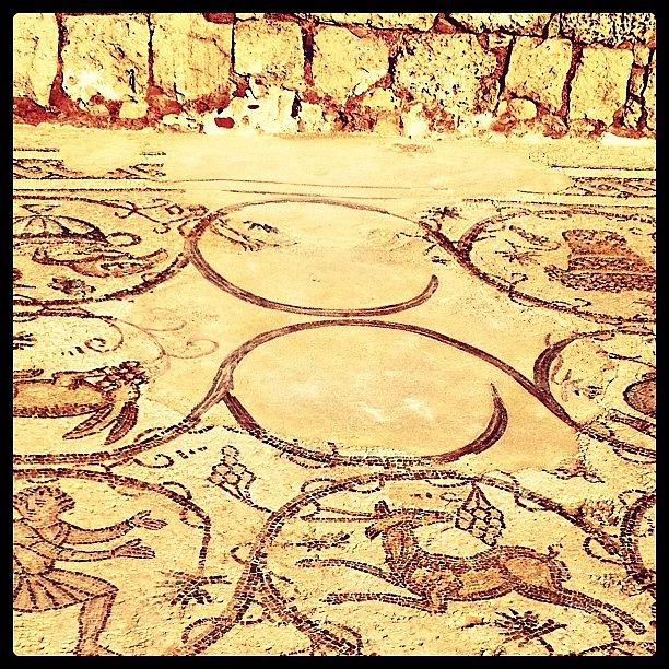 Israel Photograph - Roman Mosaic by Kim Cafri