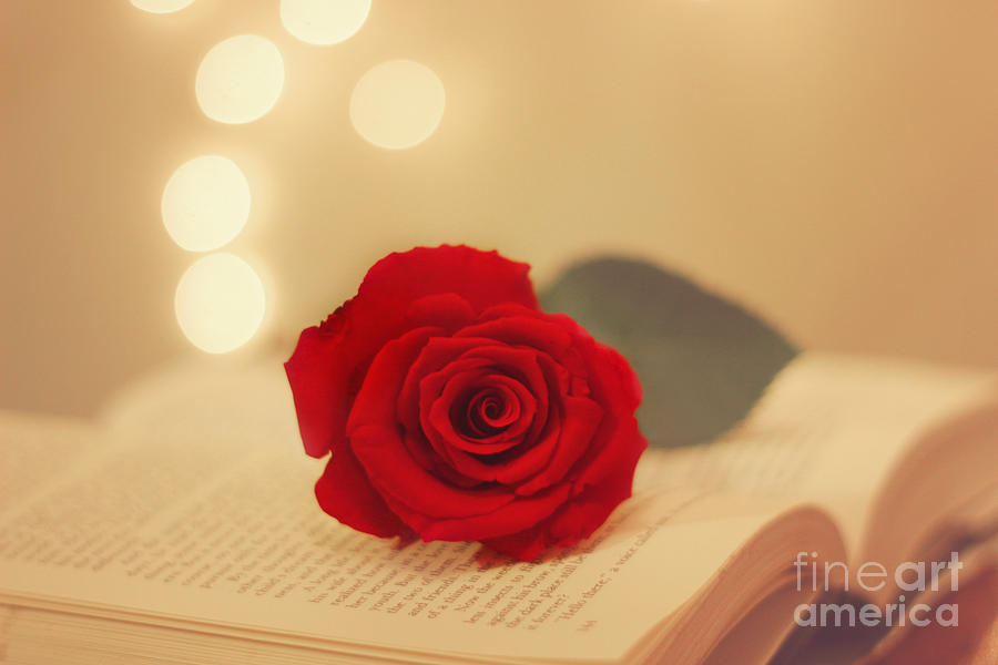 Rose Photograph - Romance Novel by Beth Engel