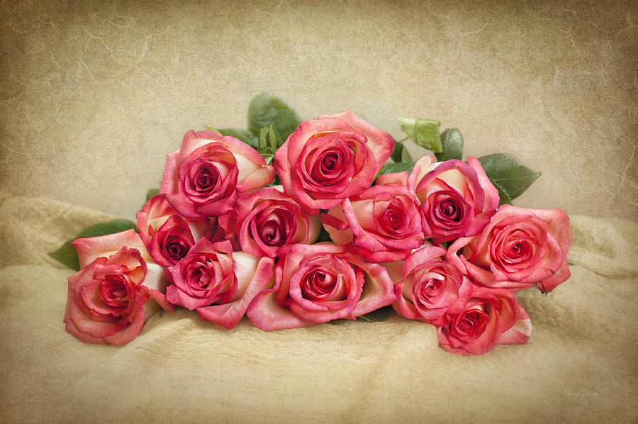 Dried Roses Photograph by Cheryl Davis - Fine Art America