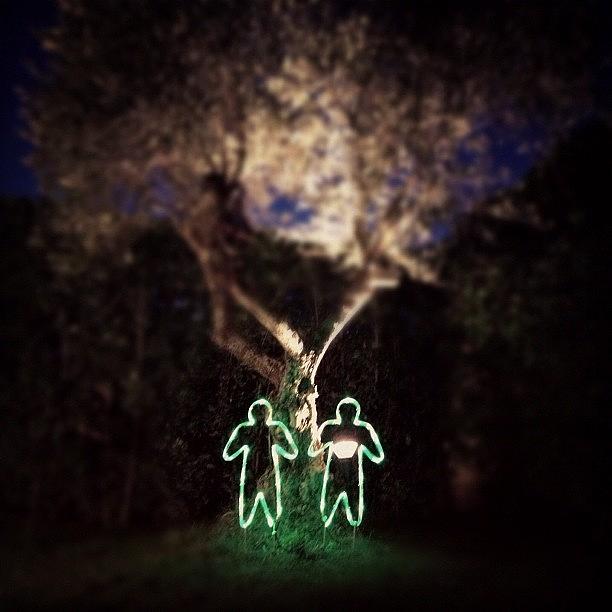 Tree Photograph - #romantic #tree #thehighsociety by Antonio Angelini