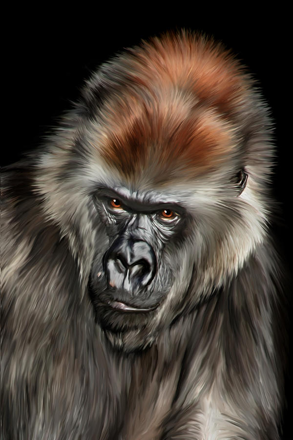 Gorilla Digital Art - Romina by Julie L Hoddinott