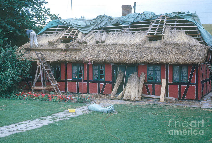 Roof Thatching, Denmark Photograph by Photo Researchers, Inc.