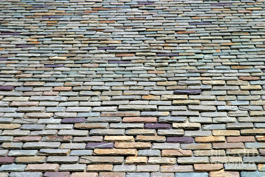 Roof Tiles Photograph by Henrik Lehnerer