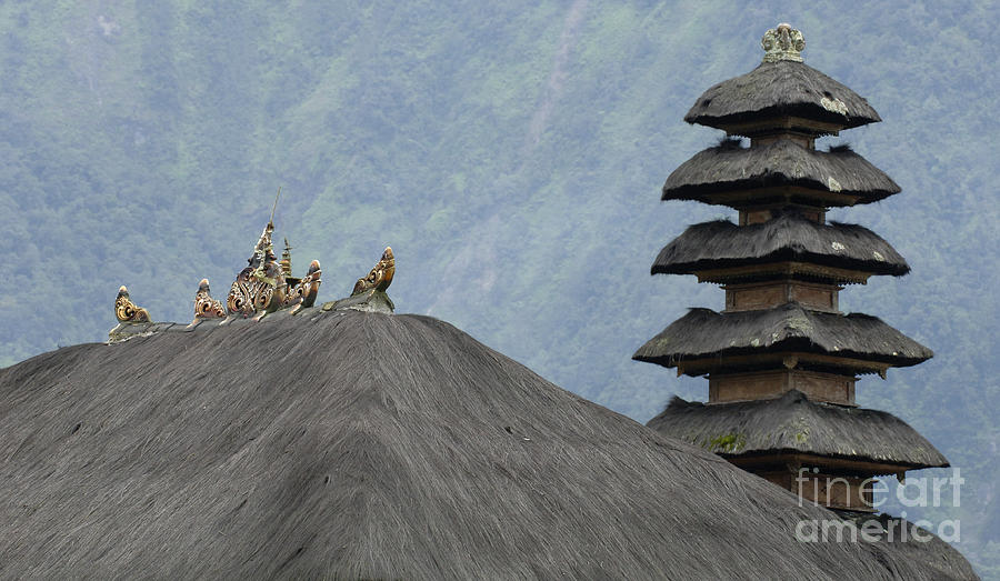 Roof Tops Bali Indonesia Photograph by Bob Christopher